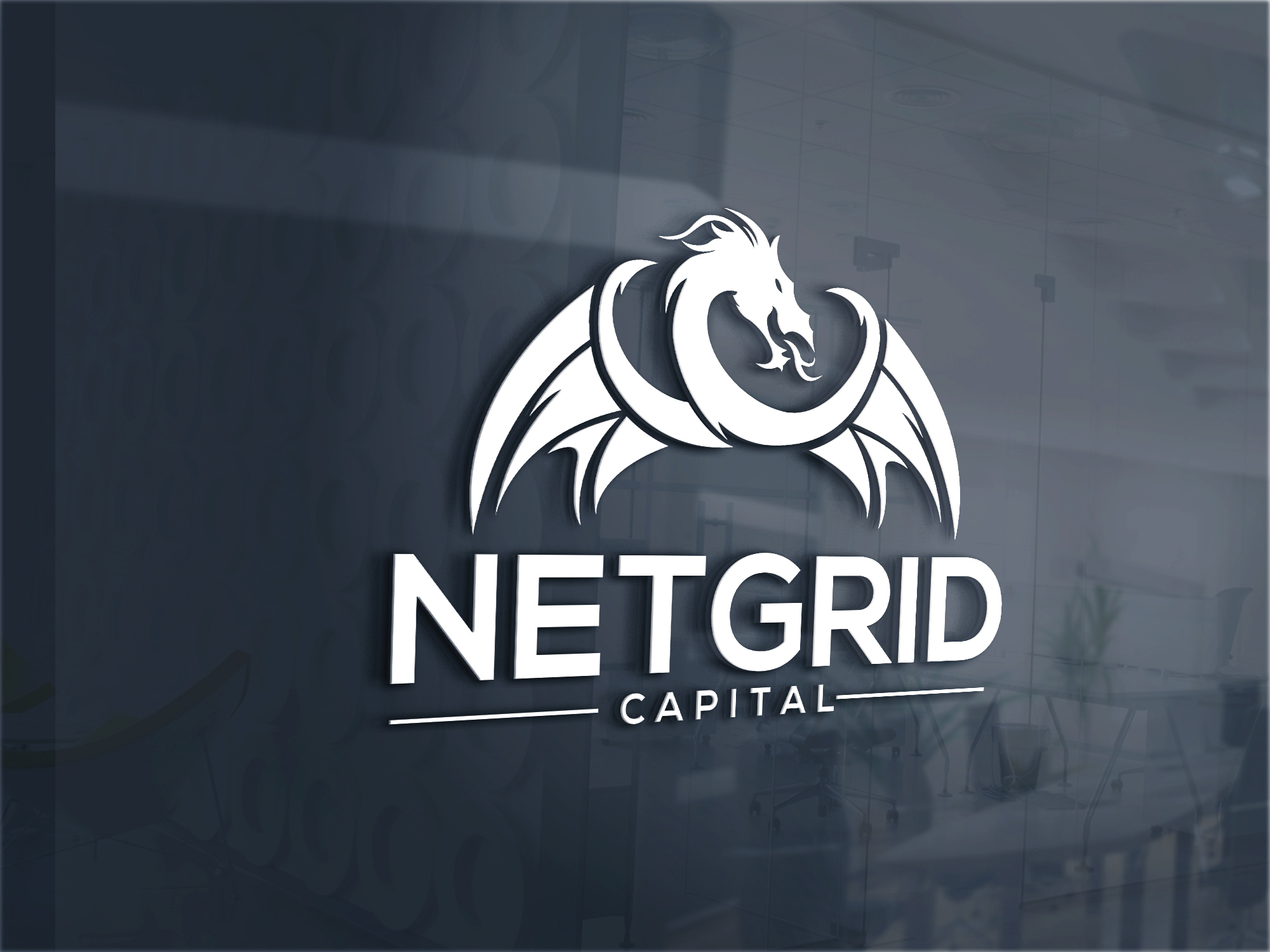 Netgrid Capital